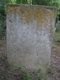 image of grave number 549320